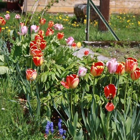 Buerschtehanse-Hof Ibach エクステリア 写真