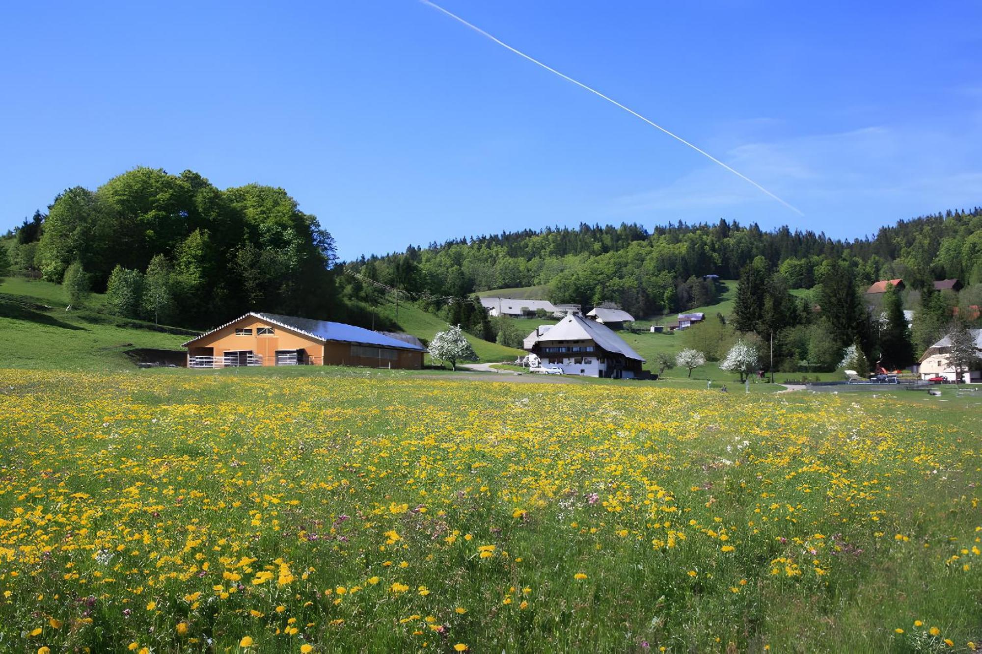 Buerschtehanse-Hof Ibach エクステリア 写真